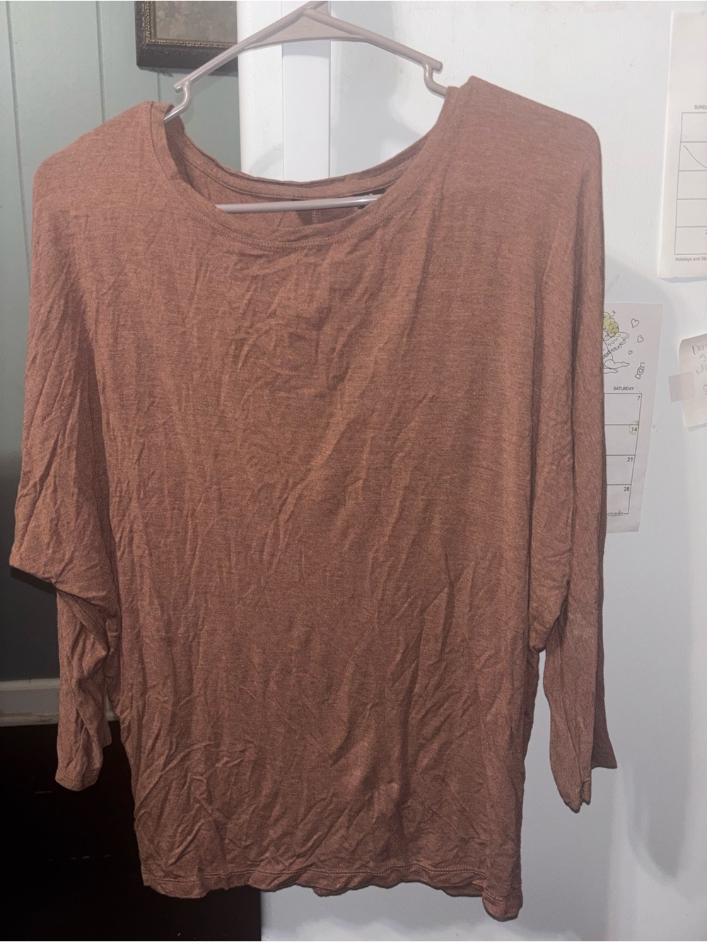 Tahari Classic Women's Long Sleeve Crew Neck Top - Brown